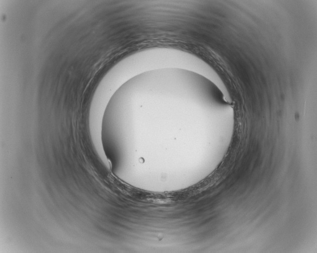 X0000085220552200704091934