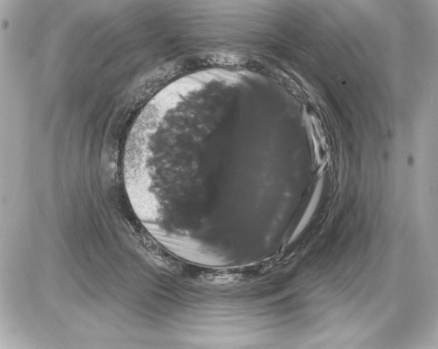 X0000085220553200704091934