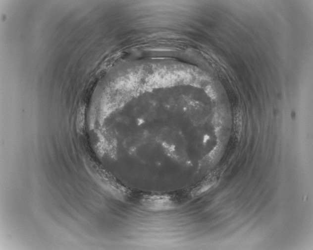 X0000085220554200704091934