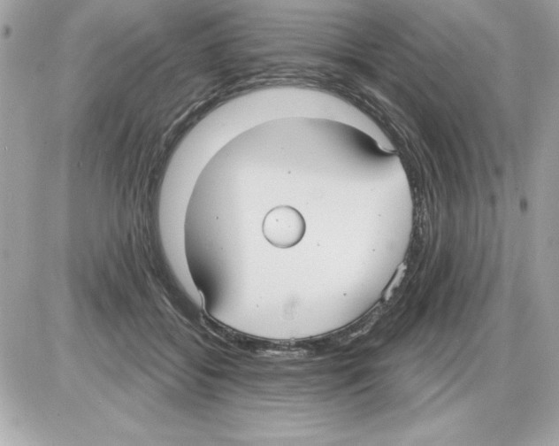 X0000085220556200704091934