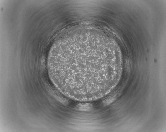 X0000085220557200704091934