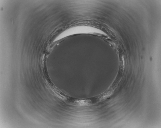 X0000085220558200704091935