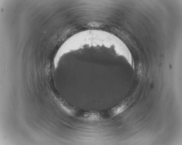 X0000085220559200704091935