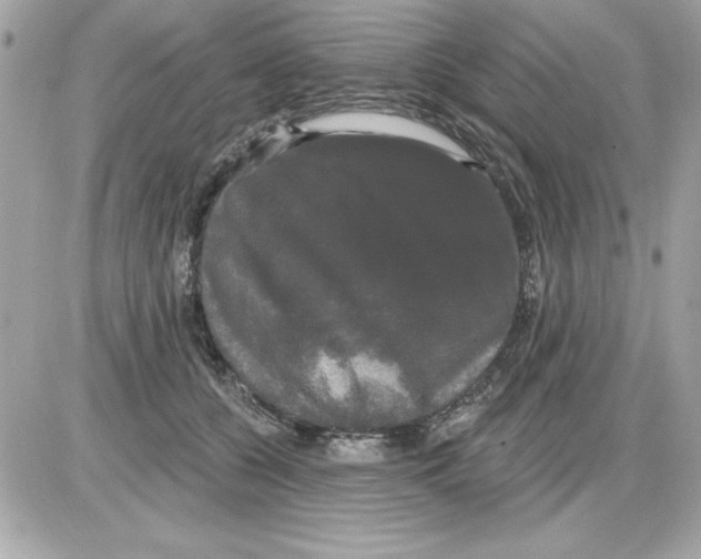 X0000085220560200704091935