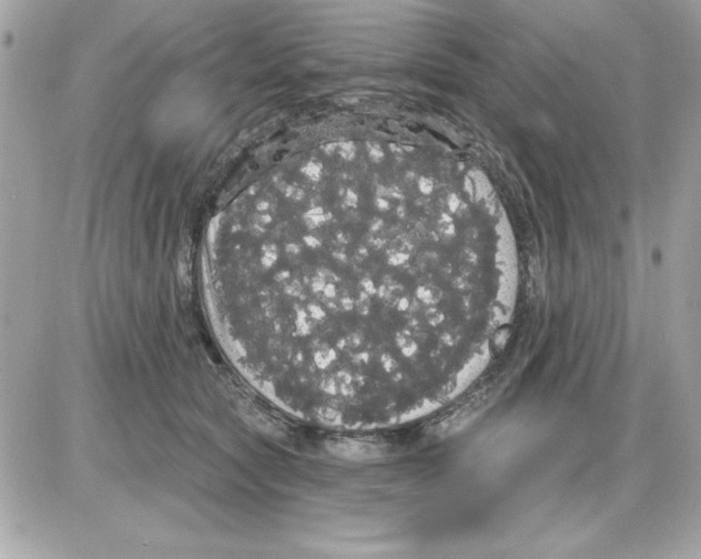 X0000085220561200704091935