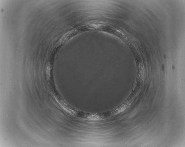 X0000085220562200704091935