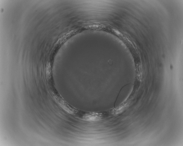 X0000085220563200704091935