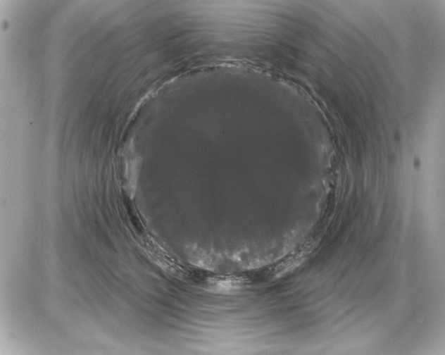 X0000085220564200704091935