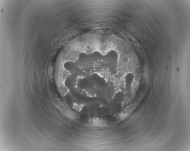 X0000085220565200704091935