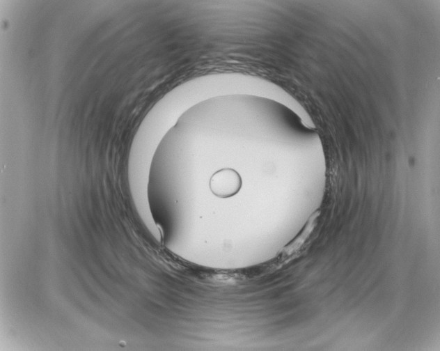 X0000085220566200704091935