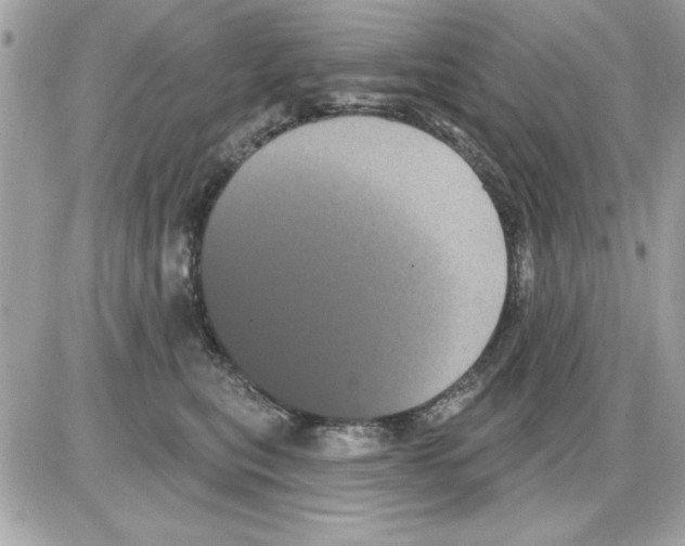 X0000085220567200704091935