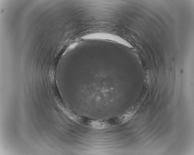 X0000085220568200704091935