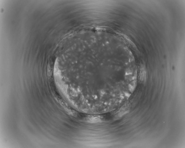 X0000085220569200704091935