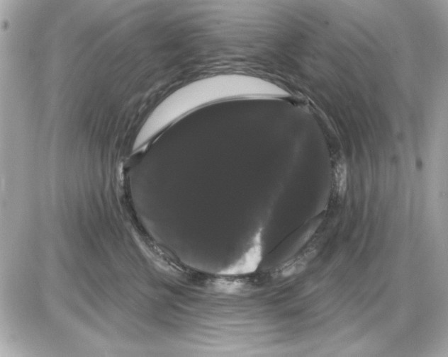 X0000085220570200704091935