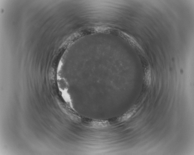 X0000085220571200704091935