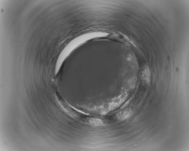 X0000085220572200704091935