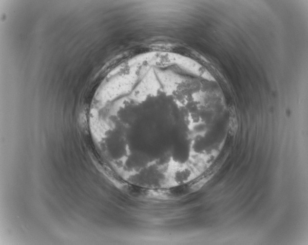 X0000085220573200704091935