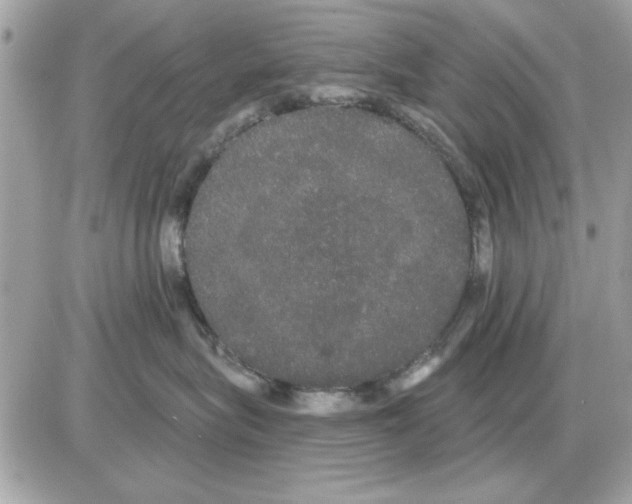 X0000085220575200704091935