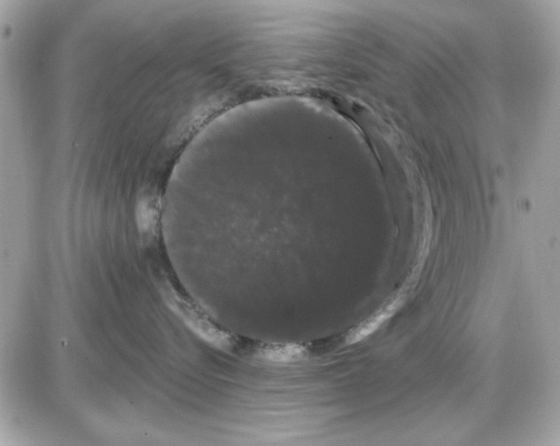 X0000085220576200704091935