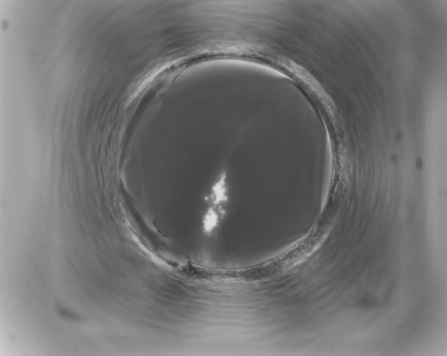 X0000085220577200704091934