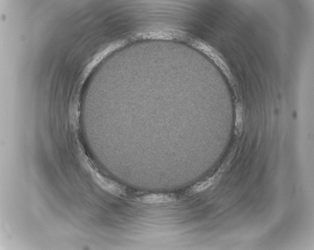 X0000085220578200704091934