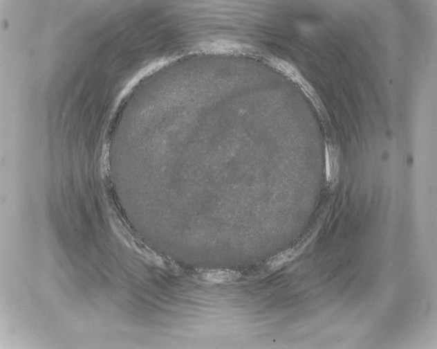 X0000085220579200704091934