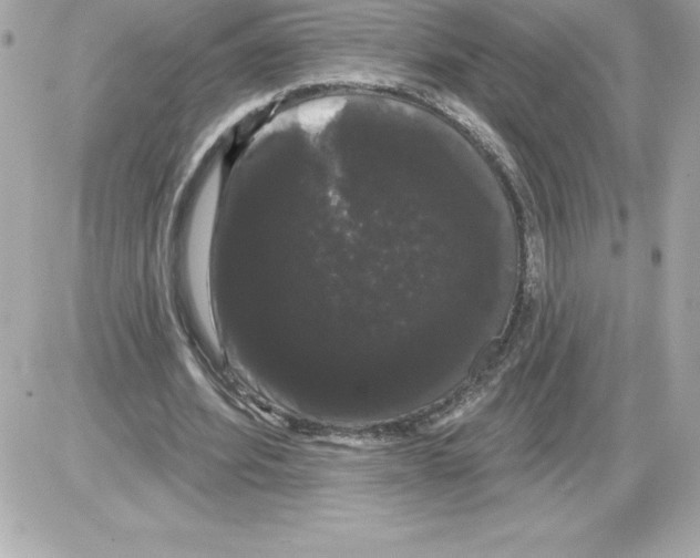 X0000085220580200704091934