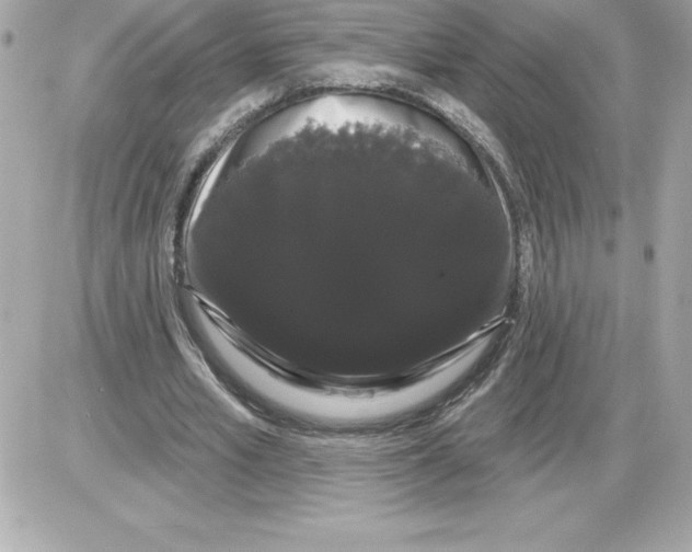 X0000085220581200704091934