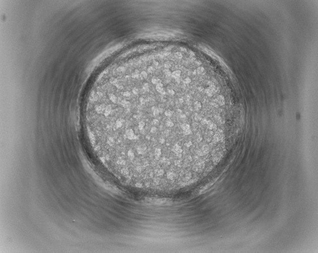 X0000085220582200704091934