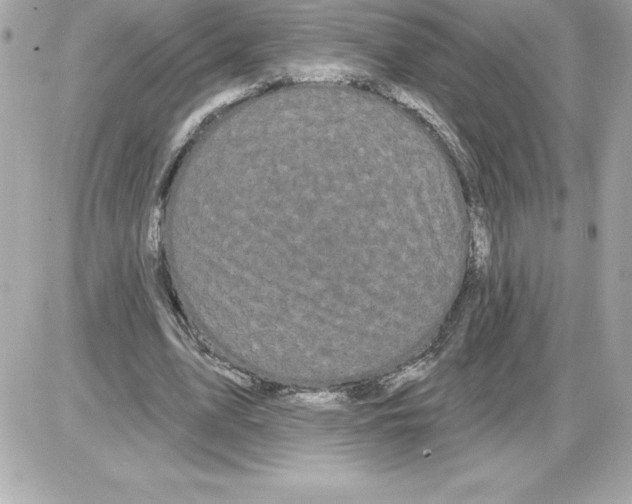 X0000085220583200704091934