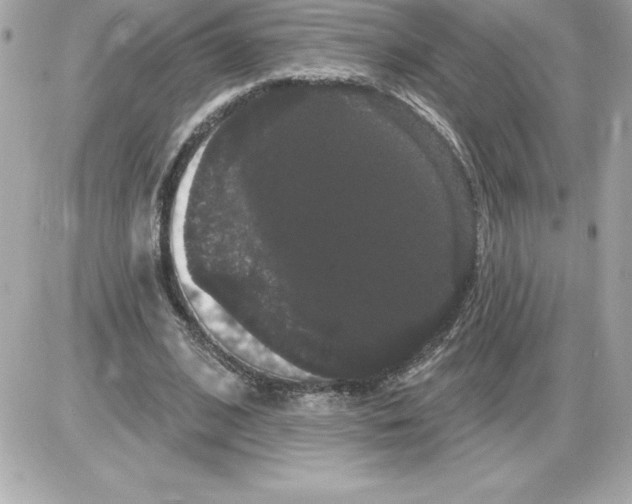 X0000085220584200704091934