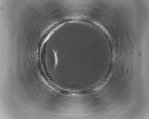 X0000085220585200704091934