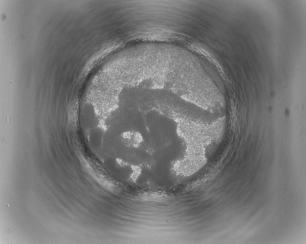 X0000085220586200704091934