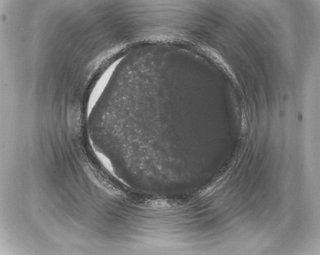 X0000085220588200704091934