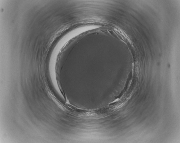 X0000085220589200704091934