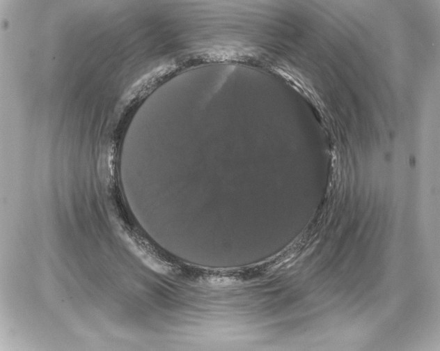 X0000085220590200704091934