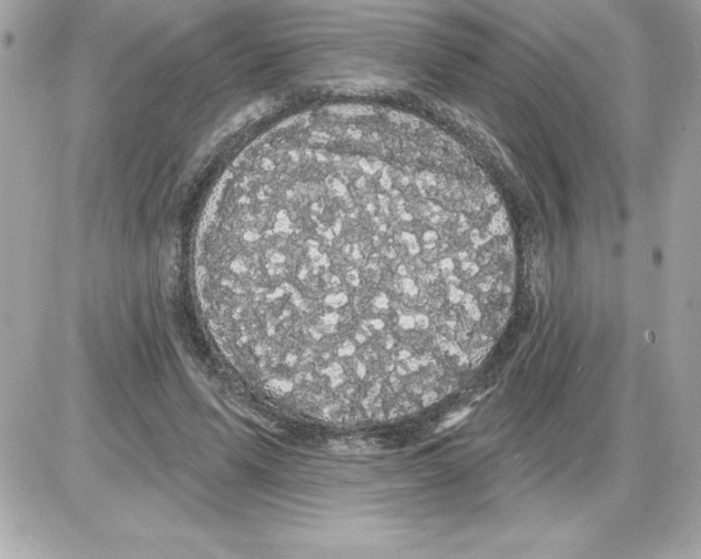 X0000085220591200704091934