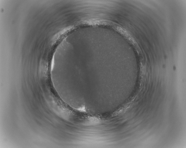 X0000085220592200704091934