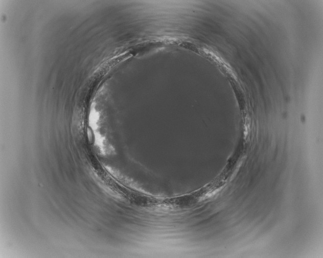 X0000085220593200704091934