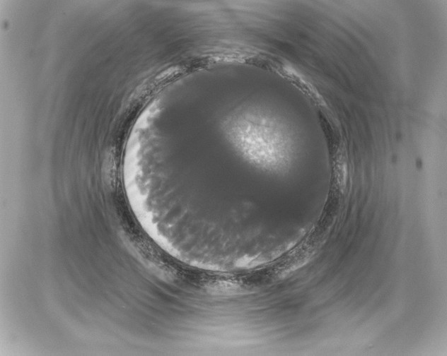 X0000085220594200704091934