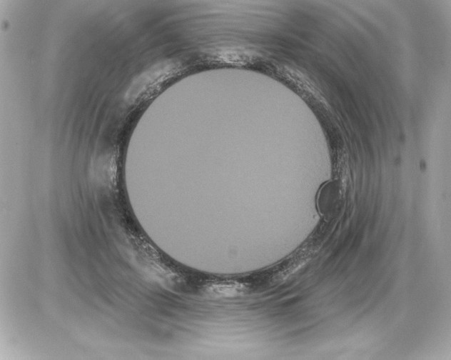 X0000085220595200704091934