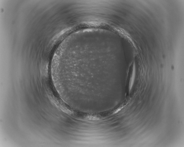 X0000085220596200704091934