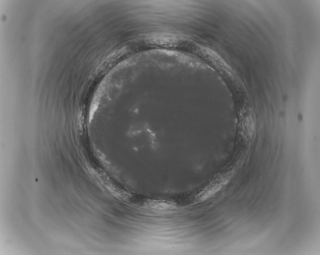 X0000085220597200704091934