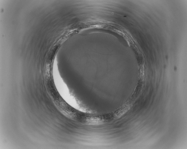 X0000085220598200704091934