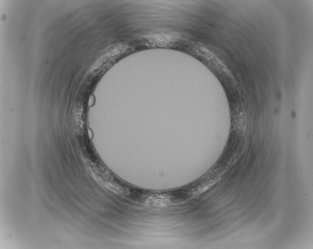 X0000085220599200704091934