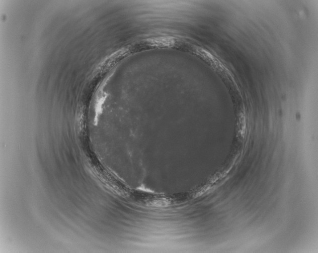 X0000085220600200704091934