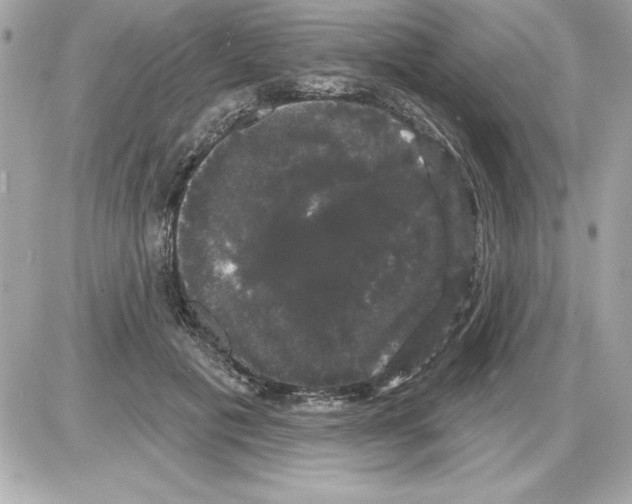 X0000085220601200704091934