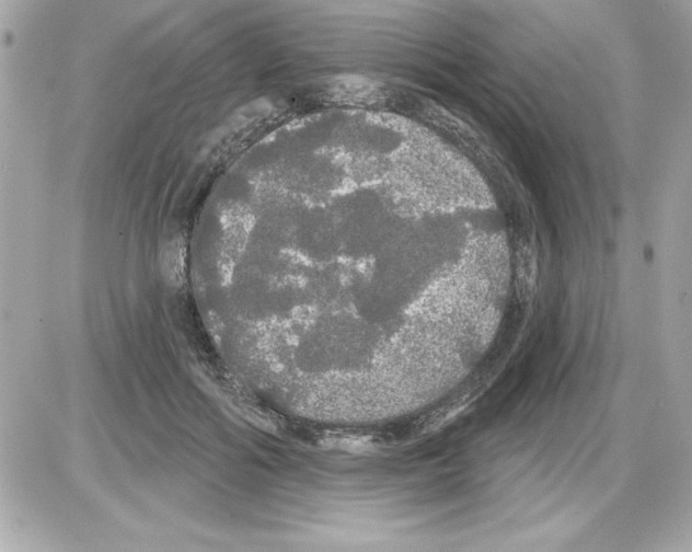 X0000085220602200704091934