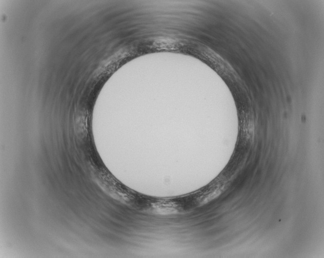 X0000085220603200704091934