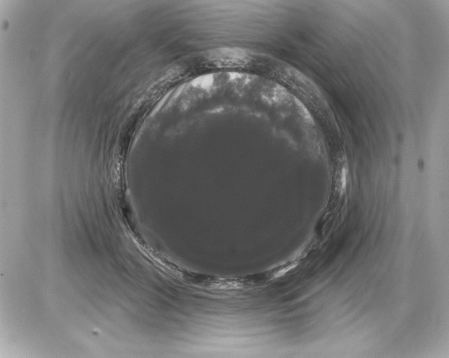 X0000085220604200704091934